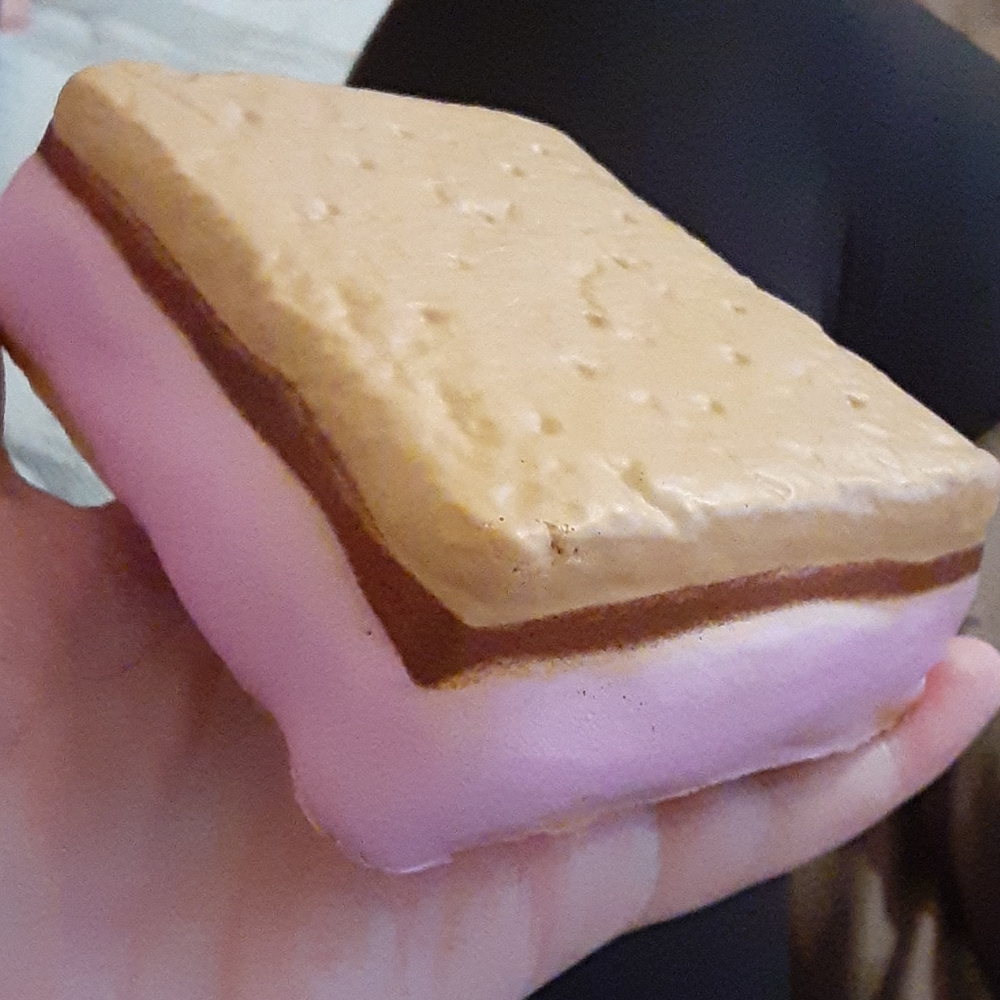 Pink marshmallow s'more